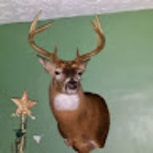 Meet your Posher, Mike